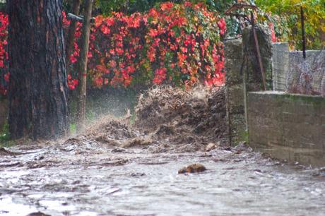 Stanziati 65 miloni di euro per le zone colpite dall'alluvione.