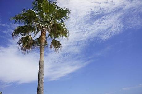 Marbella Beach!!!