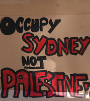 Diario Rivolte dei 99%.  Pagina 3:  22-26 ottobre – USA: Vietato protestare per i diritti civili – Australia: Occupiamo Sydney Non la Palestina – Parla Franklin Lamb