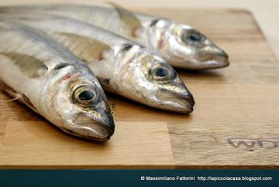 Crudo di sugarello ai due sali (il nero e il rosso delle Hawaii)