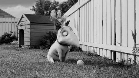 Frankenweenie: le prime immagini dal film di Tim Burton
