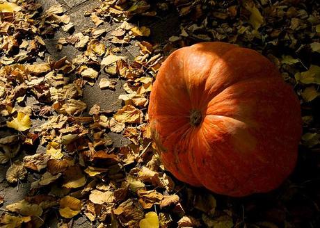 Creare una zucca luminosa di Halloween