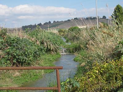 Menfi, valloni puliti. Riunione tecnico-operativa tra i vertici ESA - Consorzio di Bonifica - Comune. Interventi anche sulle strade di campagna