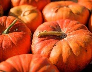 Pasticcio di zucca e tè