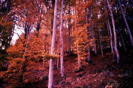 LOMOGRAPHY • in montagna con  Pentax PC-550 e Lomography X Tungsten 64 35mm