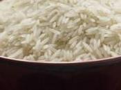 L’albumina prodotta riso, risorsa l’umanità