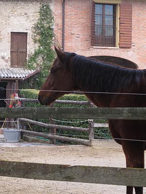 Nella vecchia fattoria