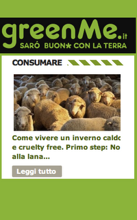 Inverno vegan, primo step: no lana sì pile!