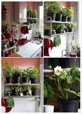 i Giardini dei mestieri_ designer e artista