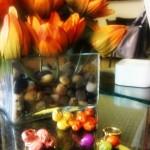 379129_10150341924491386_585961385_8710093_381112717_n