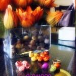 293664_10150341924606386_585961385_8710094_1761134578_n