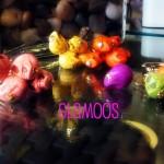 376688_10150341924391386_585961385_8710092_1429241074_n