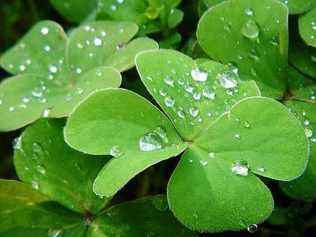 Omaggio a... Kahlil Gibran