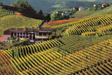recensione vino Dolcetto d'Alba - Vino Piemonte