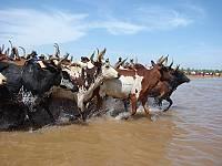 Lo spazio culturale del Yaaral e del Degal