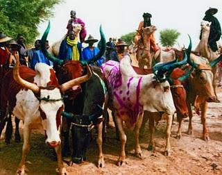 Lo spazio culturale del Yaaral e del Degal