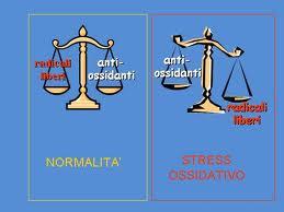 Conosci gli alimenti antiossidanti e come ti aiutano?