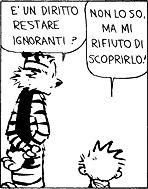 Alle radici della fuffa…