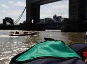 Direttivo Inghilterra, autunno 2011