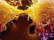 Tumori scoperta possibilità fermare Cancro moriranno ancora tanti