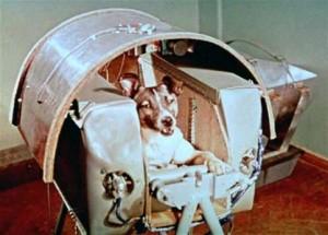 3 novembre 1957: Laika, Primo Essere Vivente Nello Spazio
