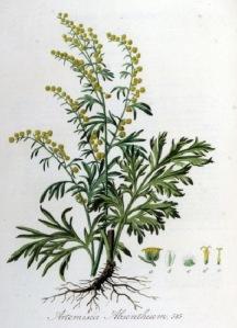 Artemisia, la dea della natura