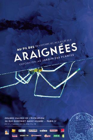 Au fil des araignées