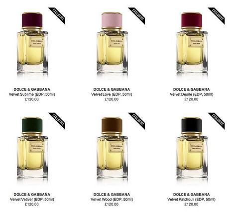Dolce & Gabbana parfums presenta 'Velvet Collection'