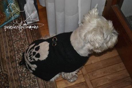 Lezioni di maglia: il tutorial del maglioncino con teschio per Brett Halloween_1