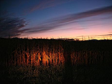 Sunset with headlamps