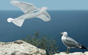 Il gabbiano robot SmartBird