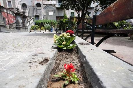 PRONTI PER UN ATTACCO VERDE?