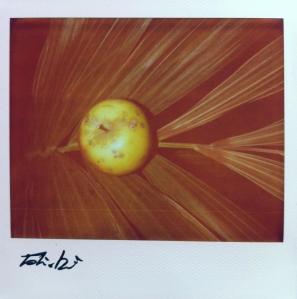 Polaroiders Fundraising for Levanto – First auction reminder