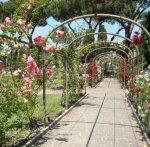 SAPER ASCOLTARE GLI ALTRI