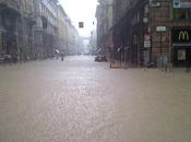Rialzati, tesoro mio…