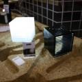 IMG_7046 IMG_7046