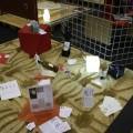 IMG_7045 IMG_7045