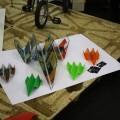 IMG_7044 IMG_7044