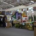 IMG_7034 IMG_7034