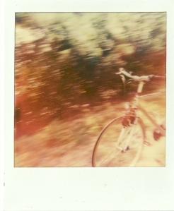 Polaroiders Fundraising for Levanto – Second auction reminder