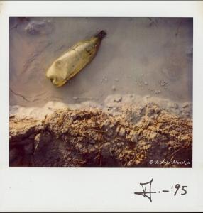 Polaroiders Fundraising for Levanto – Second auction reminder