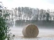 Liguria, Sardegna, Toscana: sommerse dall’acqua