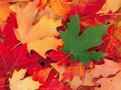 notti d'autunno