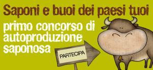 Partecipazione Concorso Saponaria