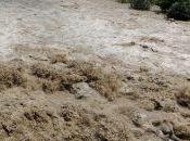 'metereologicamente' morti: esistono colpe precise?