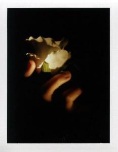 Polaroiders Fundraising for Levanto – Third auction reminder