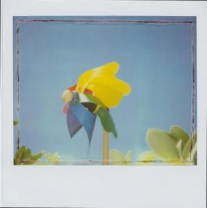 Polaroiders Fundraising for Levanto – Third auction reminder