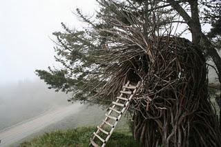 The Human Nest’at Big Sur_Jayson Fann