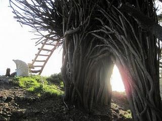 The Human Nest’at Big Sur_Jayson Fann