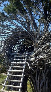 The Human Nest’at Big Sur_Jayson Fann